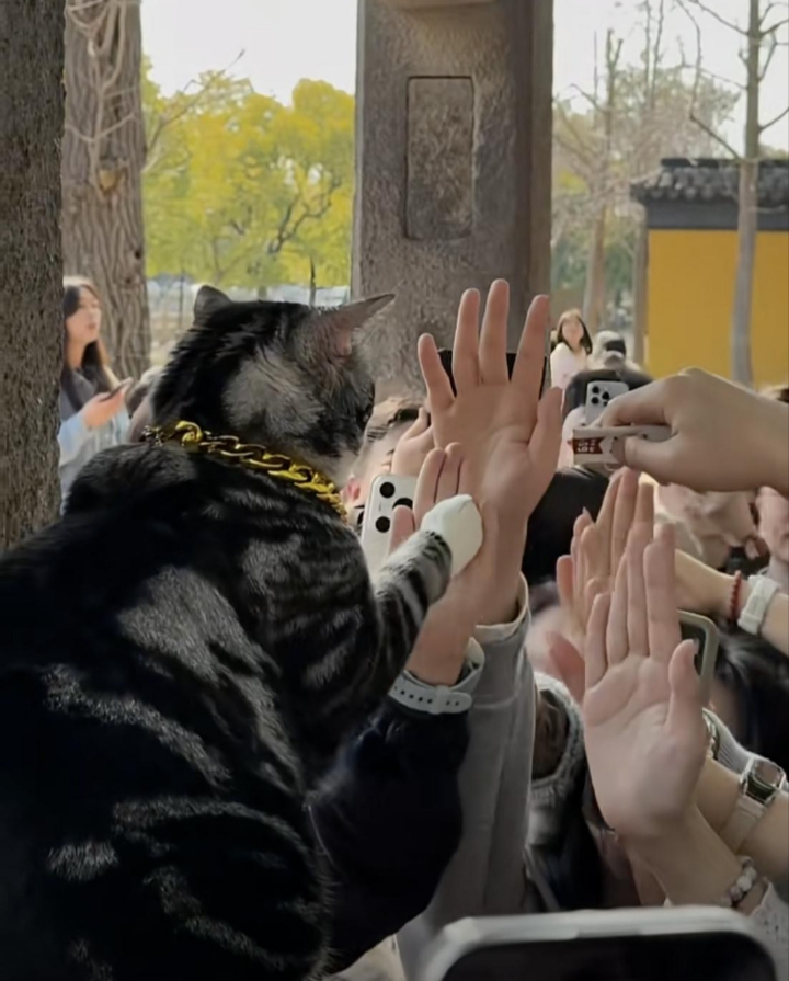 A crowd of visitors raising hands for Tangdou at the temple